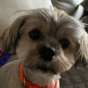 Meet your Posher, Maria